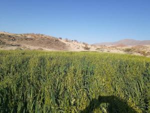 Achab Camping Camp site