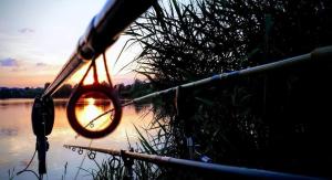 Tiszavirág Vendégház