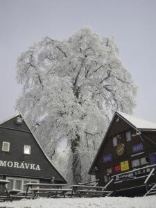 Chata Morávka Rejdice