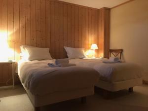 Chalets Chalet du grand cerf : photos des chambres