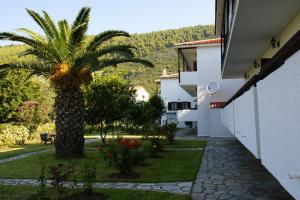 Afroditi Skopelos Greece
