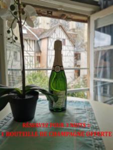 LOiseau De La Cathédrale - Calme - Jardin - Wifi