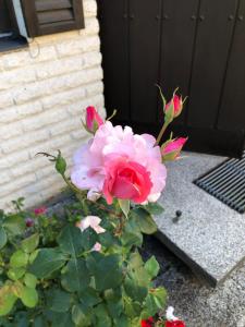 Anitas B&B StockholmVällingby