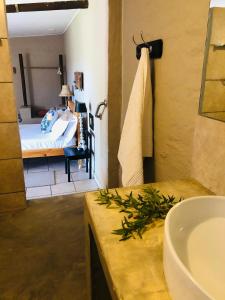 Yellow House Prince Albert