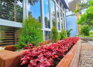 Paeva Luxury Serviced Residence SHA