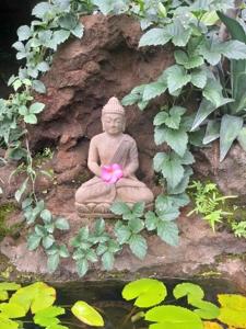 Villa Manouria - Marcel