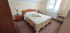 Casa de Vacanta Silvia