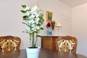 Appartements Les hortensias en Alsace - meuble de tourisme 3 etoiles : photos des chambres