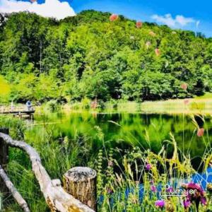 Charming 2-Bed Apartment in Arlesheim 15 min Basel