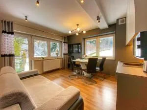 Kurort Kozubnik Apartament 33 Wellness &SPA - Czaniec