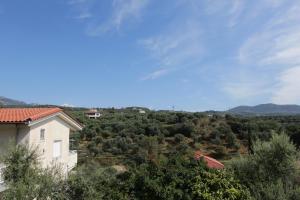 Apollon Apartments Messinia Greece