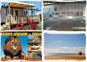 Campings Mobilhome ECHO des VAGUES : photos des chambres