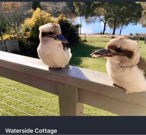 Waterside Cottage