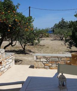 Flora Apartments Paros Greece