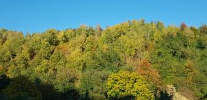 Casa Grigorescu, Cerna, Vaideeni, Valcea