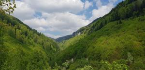 Casa Grigorescu, Cerna, Vaideeni, Valcea
