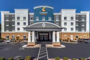 Comfort Suites Florence I-95 - McBee