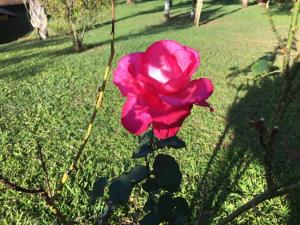 Casasítio na serra em Bom Jardim - RJ