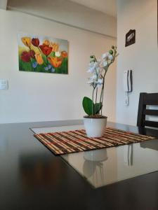 Boulevard Lavalle Apartament