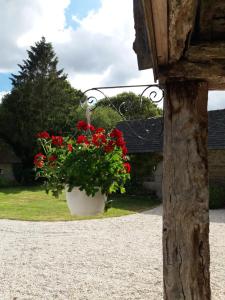 Maisons d'hotes Le parfum des fleurs : photos des chambres