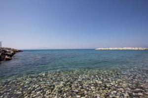 Apollon Apartments Messinia Greece