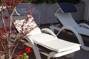 Hof Schupfer - Alpstay