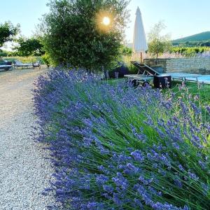 B&B / Chambres d'hotes Maison d'hotes Bastide St Victor a 2,5 kilometres de Lourmarin : photos des chambres