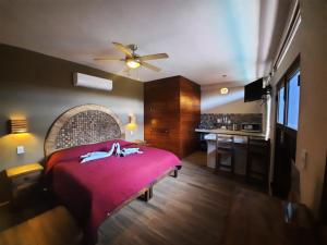 Holbox Isla Bonita