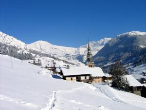 Appartements 40 m2 au pied des pistes les saisies hauteluce savoie 4 a 6 personnes : photos des chambres