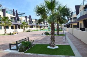 Higuericas Beach Apartment