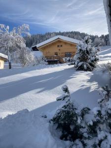 Chalets Savoie : photos des chambres