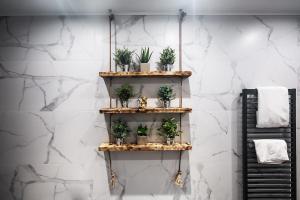 ELVIRA SELECTION by Lotus