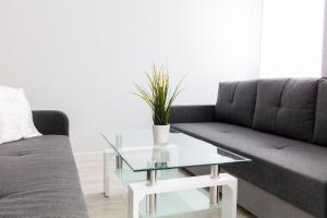 Apartament 5k Szczecin