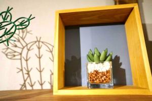 48坪！道後温泉付近駐車場有り清潔さと設備の充実さが高評価 大切な家族仲間と広々とくつろげます