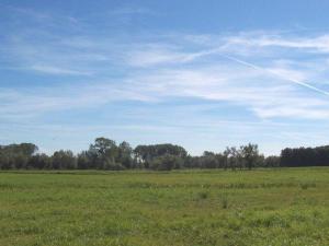 Zur-alten-Schmiede-II (Wohnung oben)