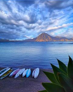 Hotel y Centro de Convenciones Jardines del Lago
