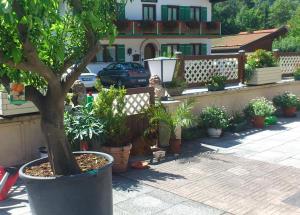 Haus Neuhäusl inkl. Chiemgaukarte