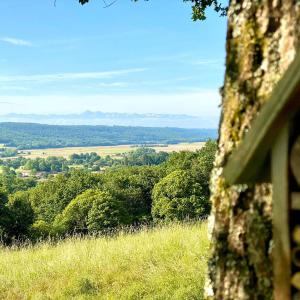 Maisons de vacances le gite du CASTELBOSC : photos des chambres