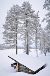 Villa Konttaisenranta