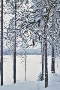 Villa Konttaisenranta