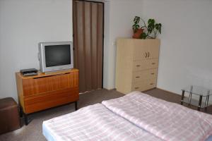 Apartment in Jablonec nad Jizerou 2142