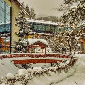 Hotel Czarny Potok Resort SPA Conference