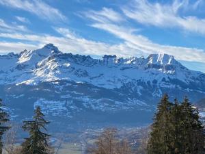 Appartements Ancient Hotel Mont Joly - 3 bedr - view - 2 bath - 80m2 : photos des chambres