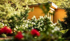 Holiday Villa Palanga