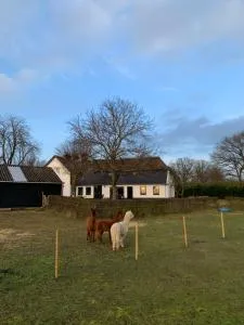 Hoeve Zandbelt - 洛赫姆