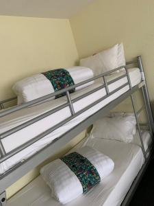 Hotels Hotel Heod - Binic - Saint-Quay-Portrieux : photos des chambres