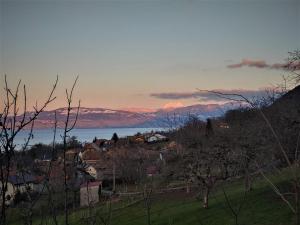 Chalets Chalet paisible dans la nature avec belle vue sur le lac Leman : photos des chambres