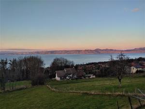 Chalets Chalet paisible dans la nature avec belle vue sur le lac Leman : photos des chambres