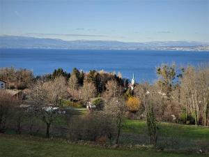 Chalets Chalet paisible dans la nature avec belle vue sur le lac Leman : photos des chambres