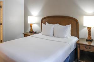 One-Bedroom Suite room in Polynesian Isles Resort By Diamond Resorts - Newly Renovated